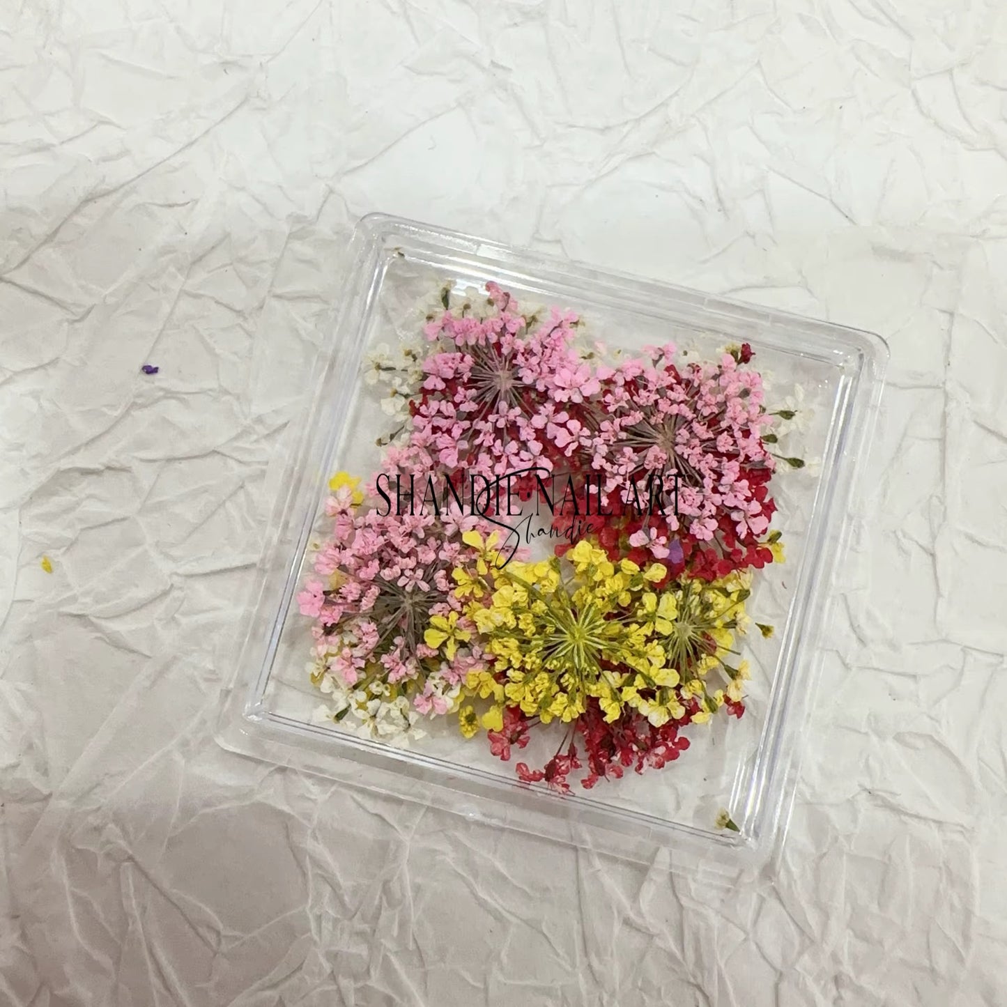 Dry flowers / Nail art
