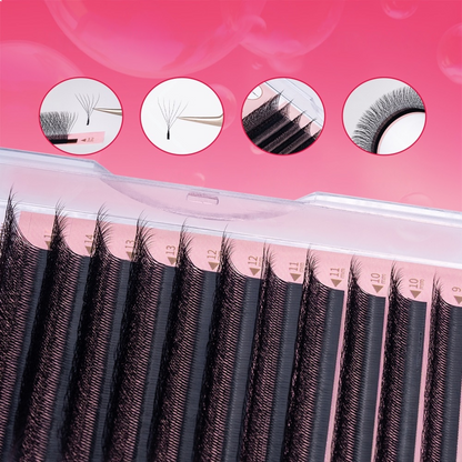 6D W - Cils
