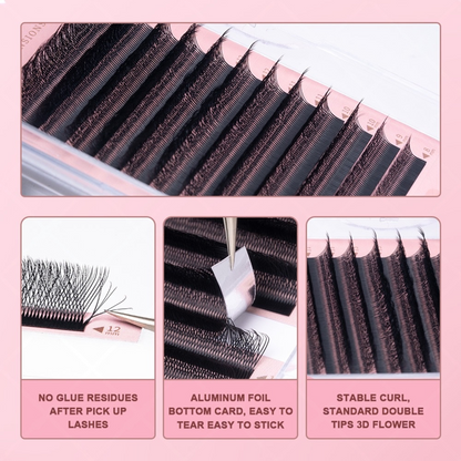 3D W - Cils