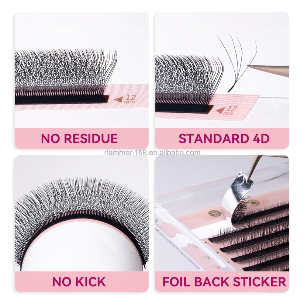 Extensions de cils 4D W - Volume brésilien
