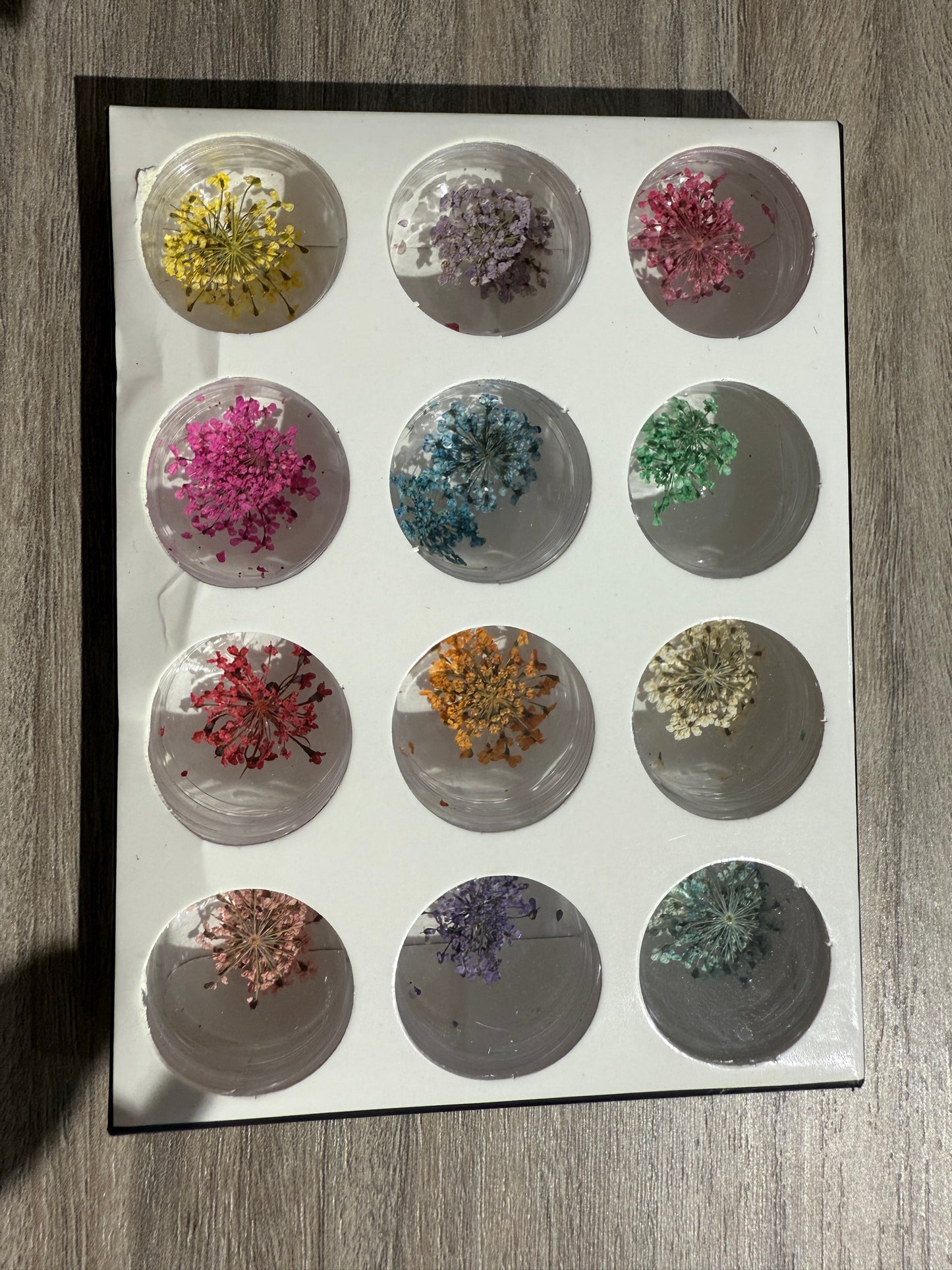 Dry flowers / Set de 12