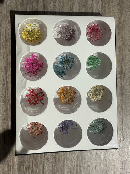 Dry flowers / Set de 12
