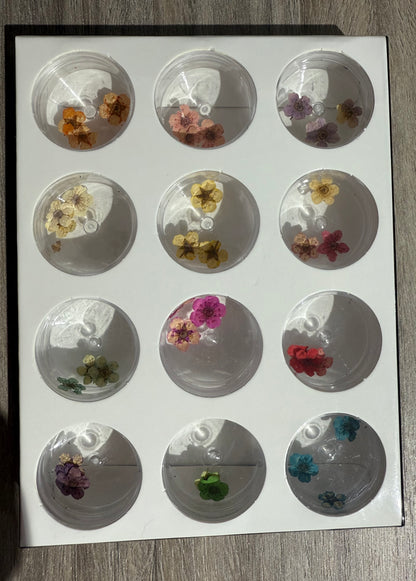 Dry flowers / Set de 12
