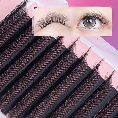 5D W - Cils