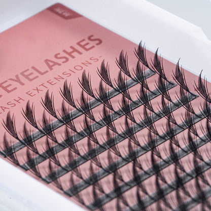 Extensions de cils Manga