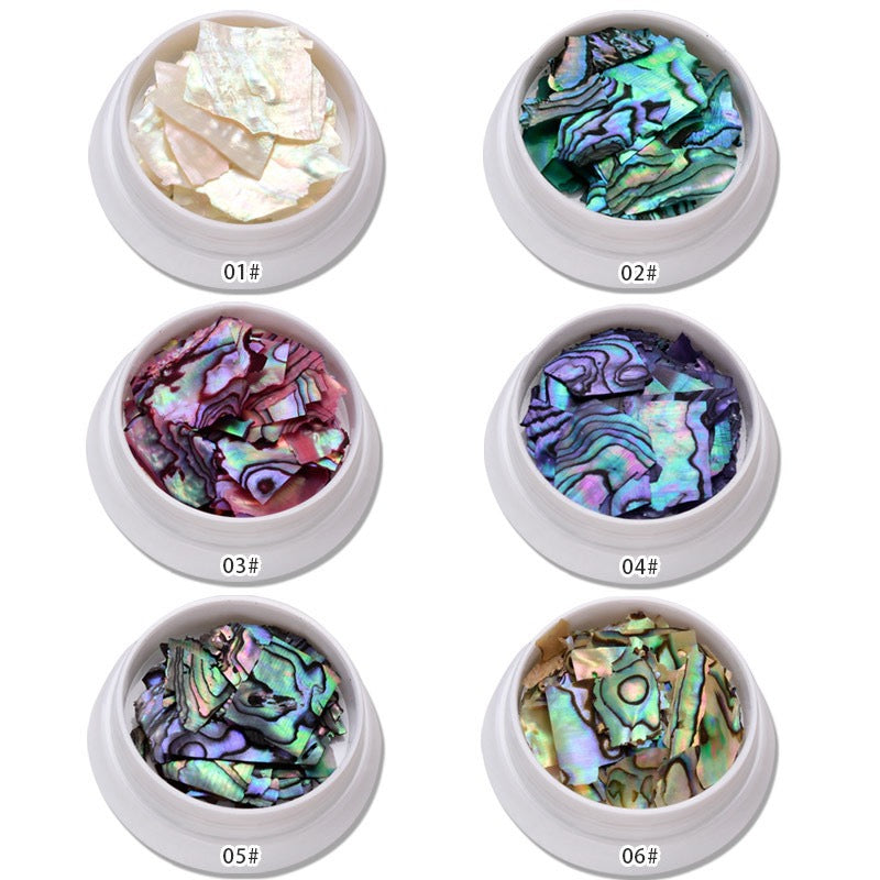 Set- Fragments de coquille d'ormeau (6pcs)