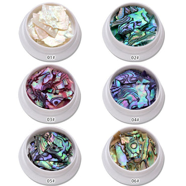 Set- Fragments de coquille d'ormeau (6pcs)